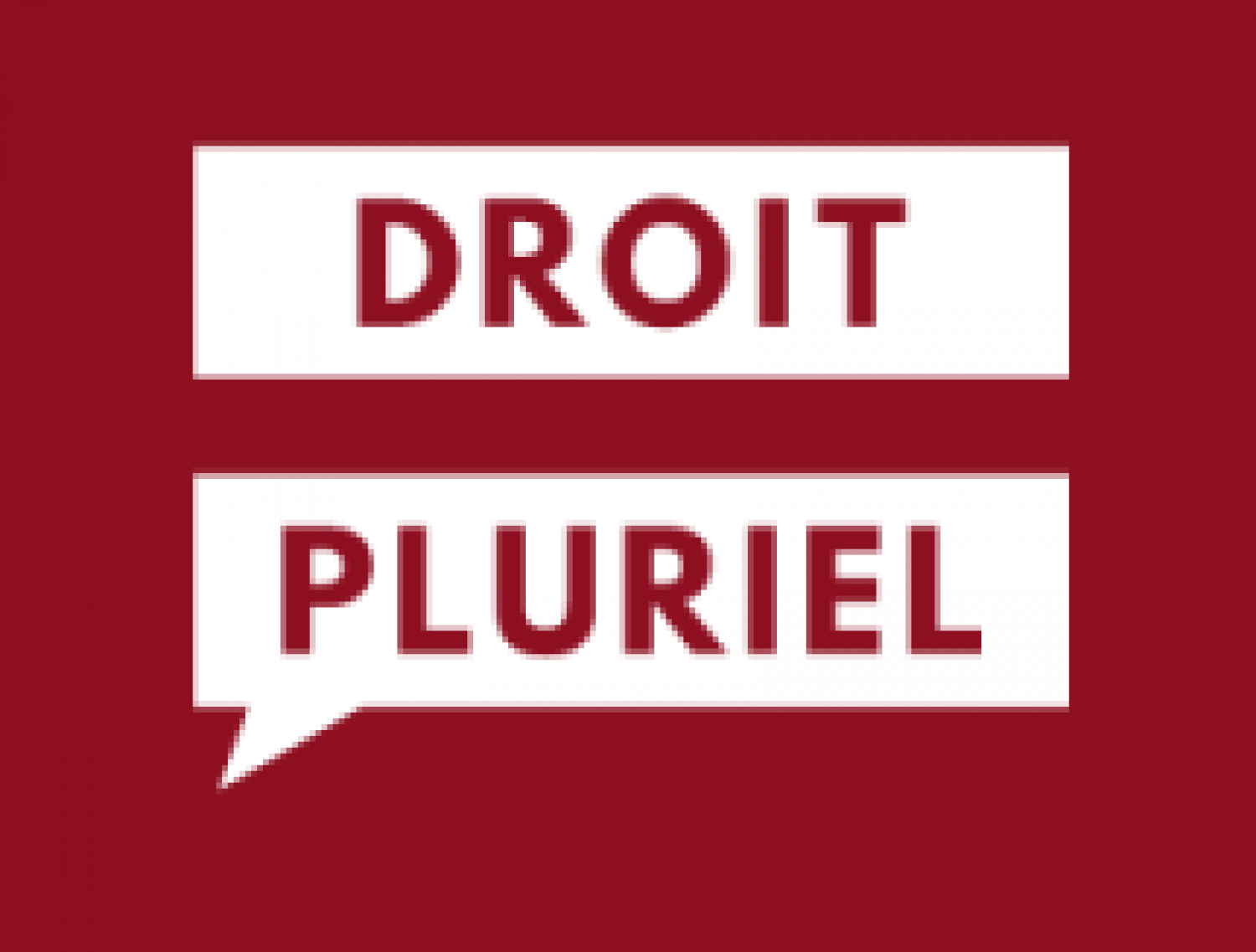 20220304110416-droit-pluriel-logo.png